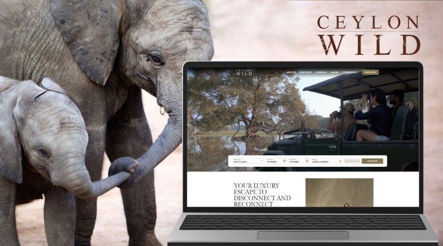 Fetured Image CWS New Fetured Image CWS New